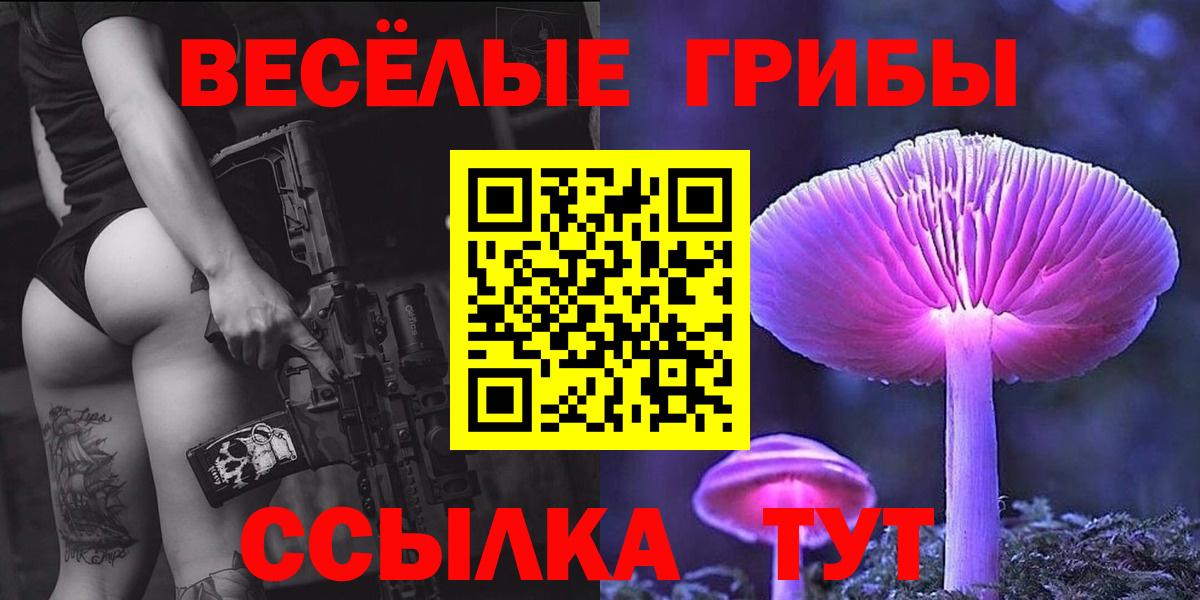 Осинники  Псилоцибиновые грибы MAGIC MUSHROOMS  Вход с VPN 